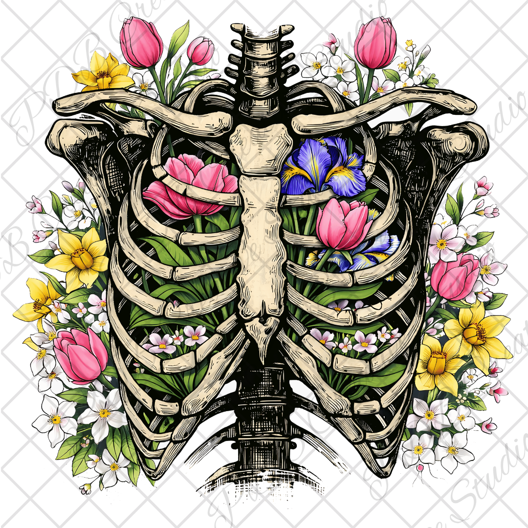 DECAL - 27147