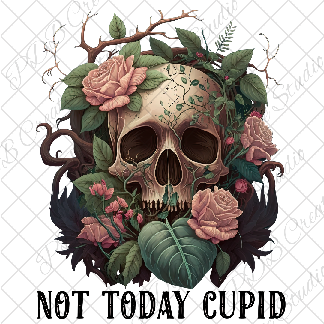 DECAL - 18791