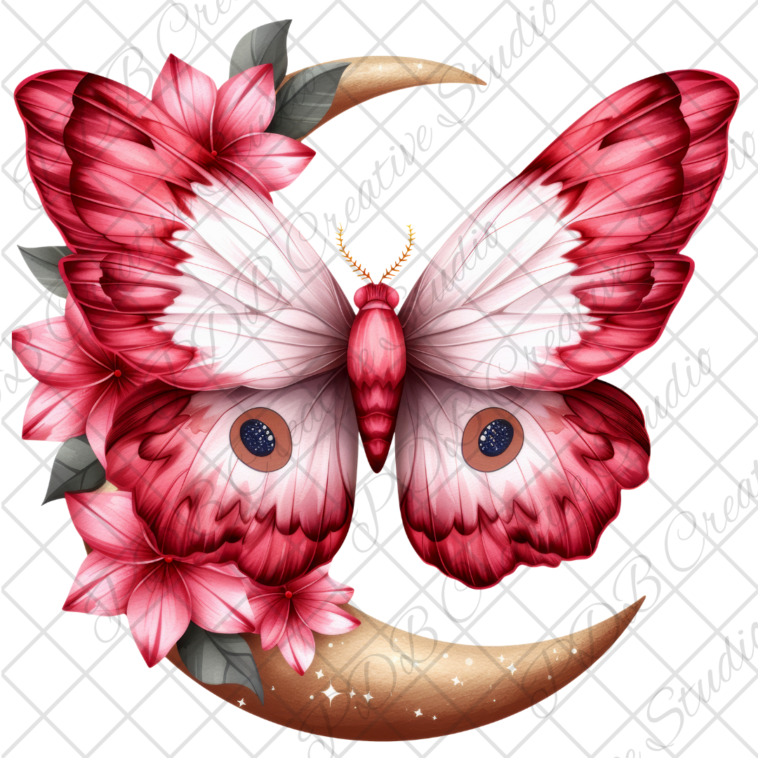 DECAL - 18719