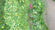 green custom mix multi-size glitter for art, body, nails and more - PDB Creative Studio