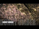 brown polyester glitter / PDB Creative Studio