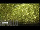 APOLLO - 20291